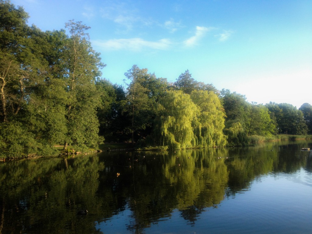 Svona eru tónleikarnir í Mölleparken…