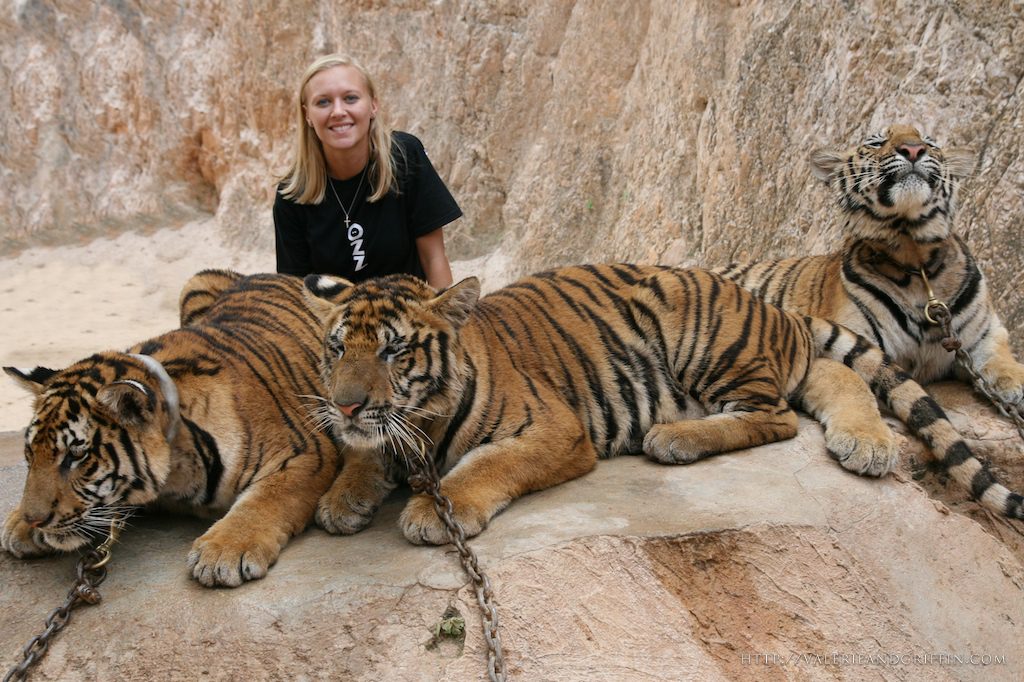 Valerie-and-Griffin-at-Tiger-Temple-1